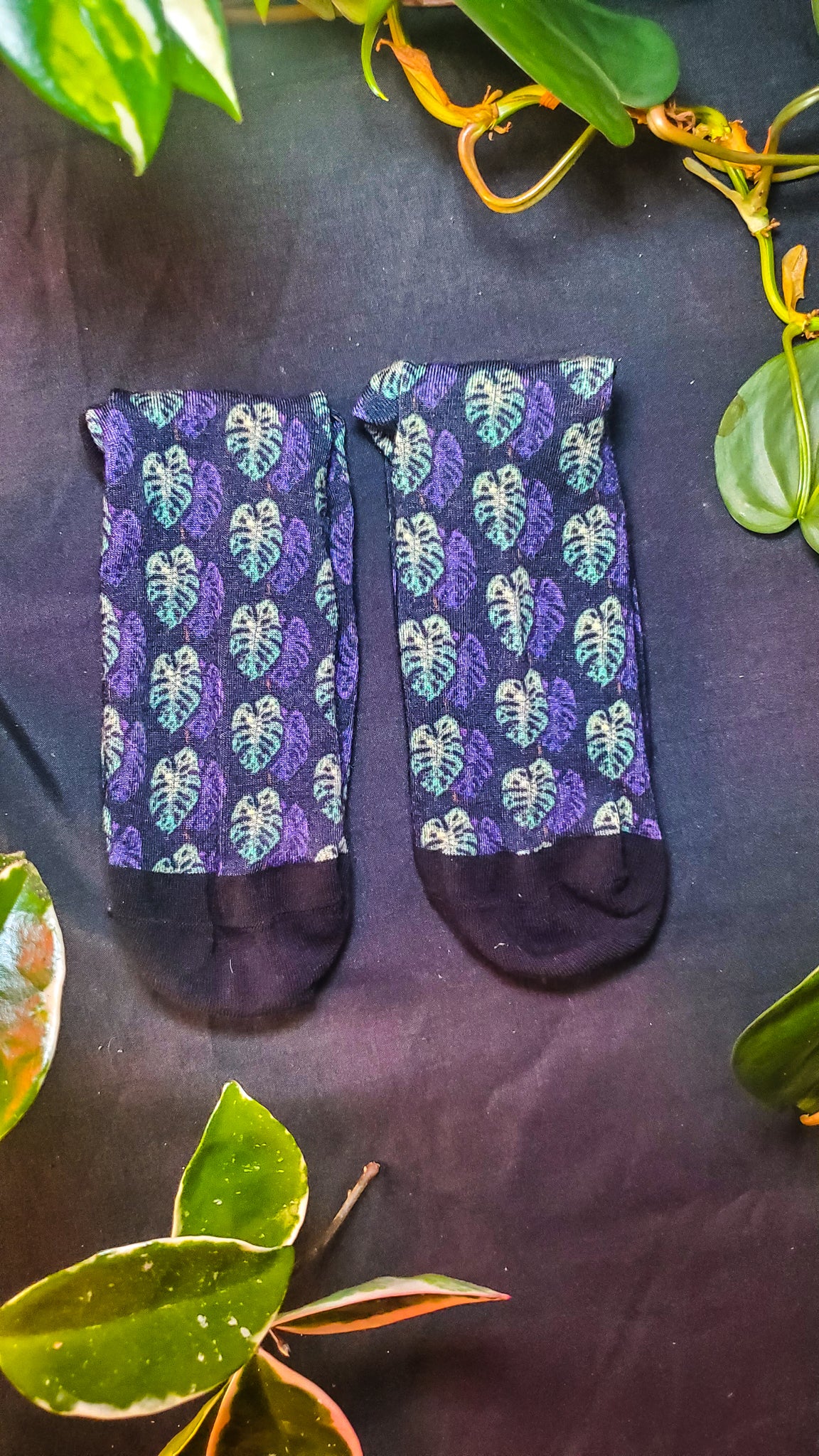 a pair of purple and black monstera leaf-patterned socks arranged neatly on a dark surface. Green foliage with a mixture of solid and variegated leaves is scattered around the socks