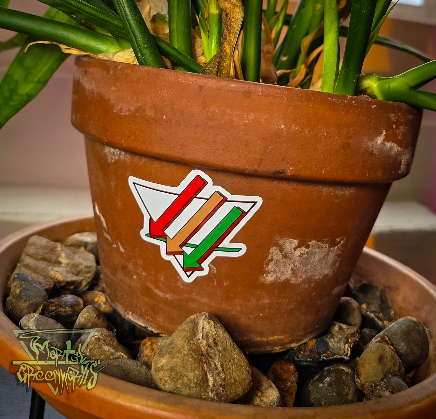 Close-up of a terracotta pot with a Sanseveria plant inside. A 4x4" decorative sticker of the Climate front logo reflecting the colors of the California flag. The pot sits in a cove of stones.
