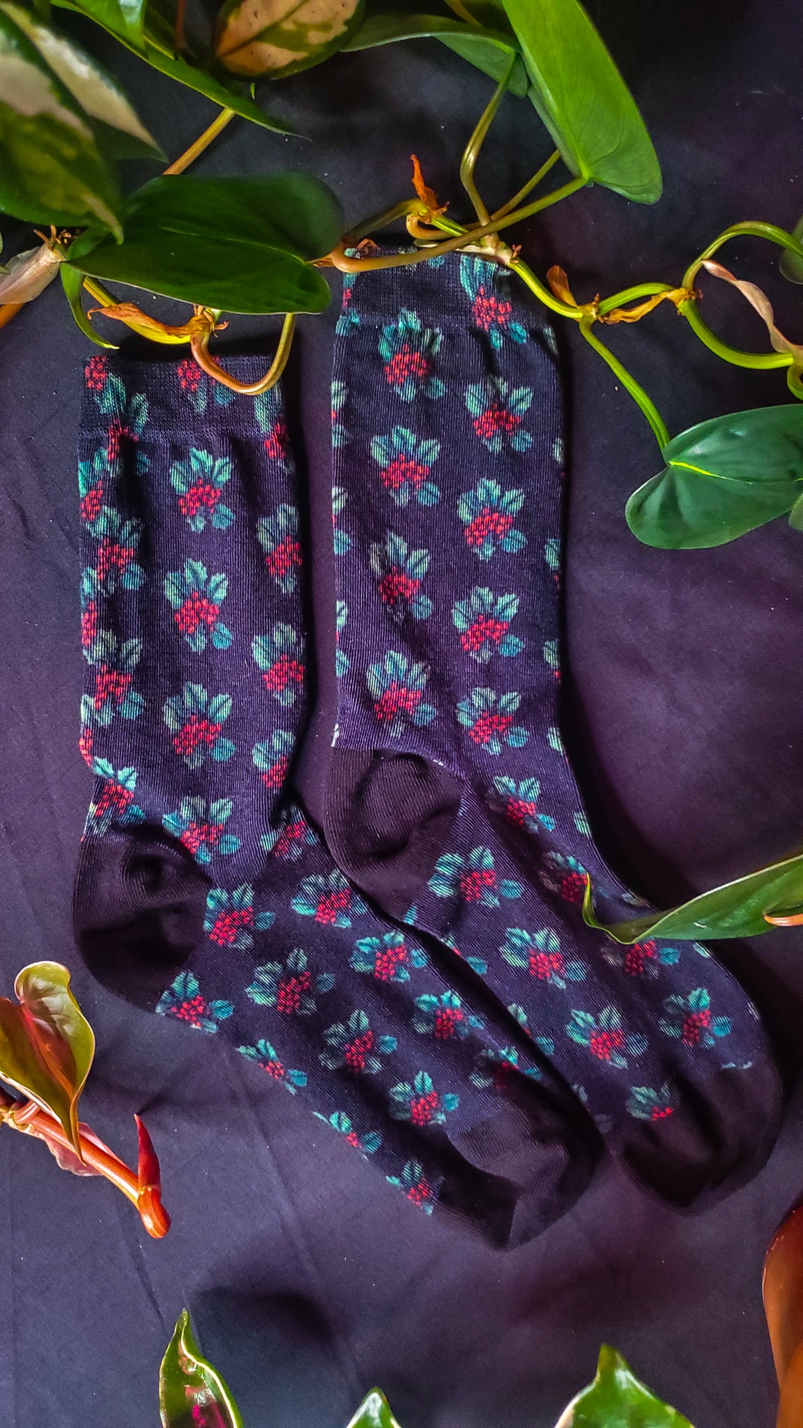 Dark socks with a holly berry pattern in red and teal lay on a backdrop surrounded by greenery.