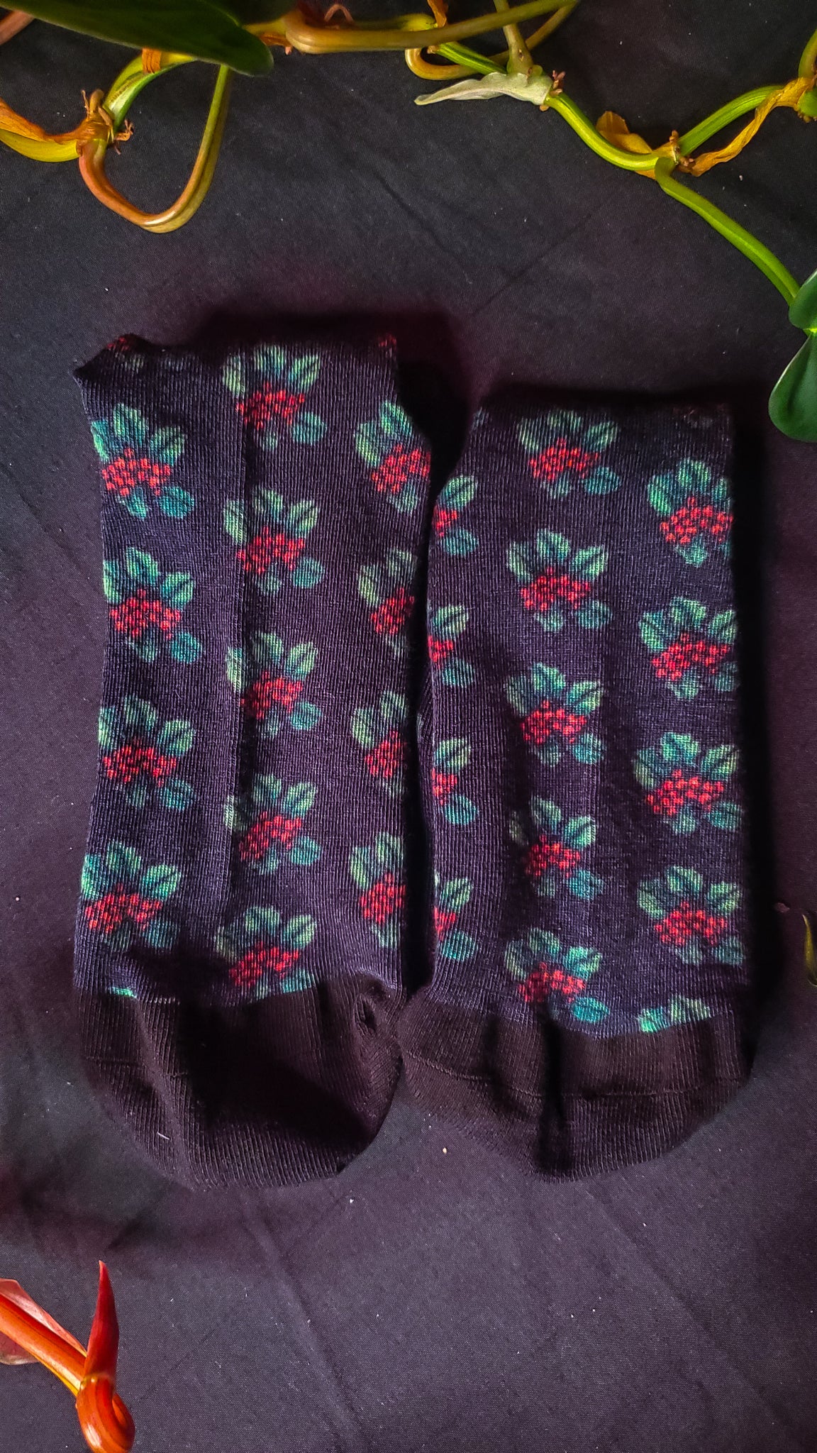 Holly berry-patterned socks rest on a dark surface amidst lush plant leaves.