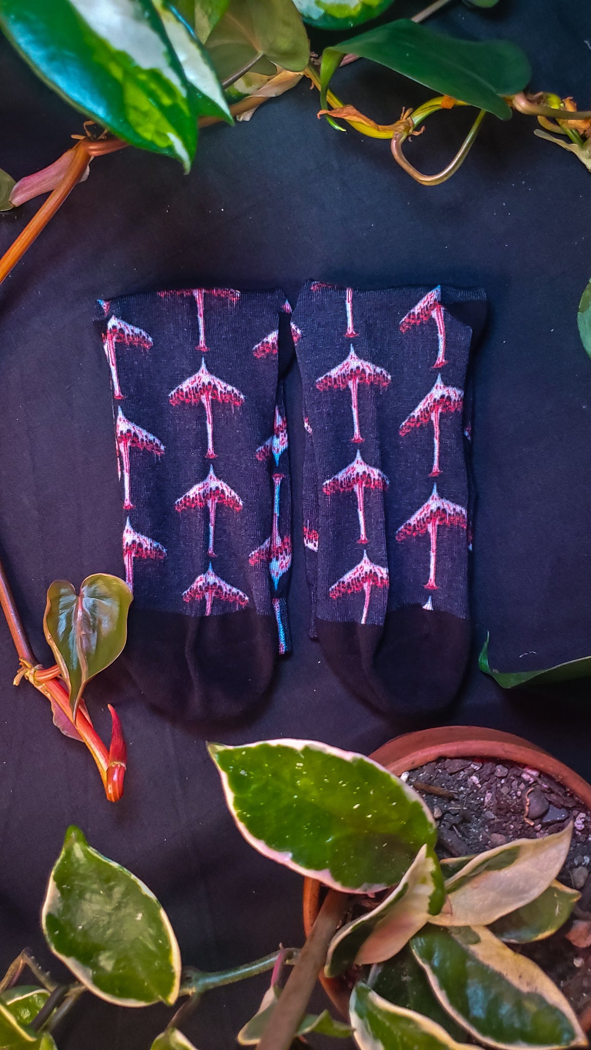 Black socks patterned with red bleeding mushrooms, presented on a dark cloth with surrounding greenery.