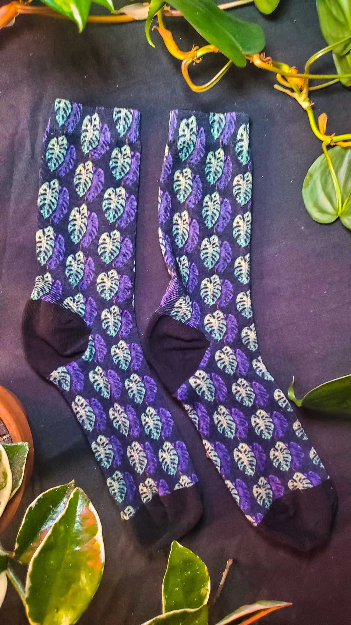 A pair of socks with a monstera leaf pattern in shades of purple and black is laid out on a dark background. The pattern features stylized monstera leaves. There are vibrant green plants with broad leaves surrounding the socks