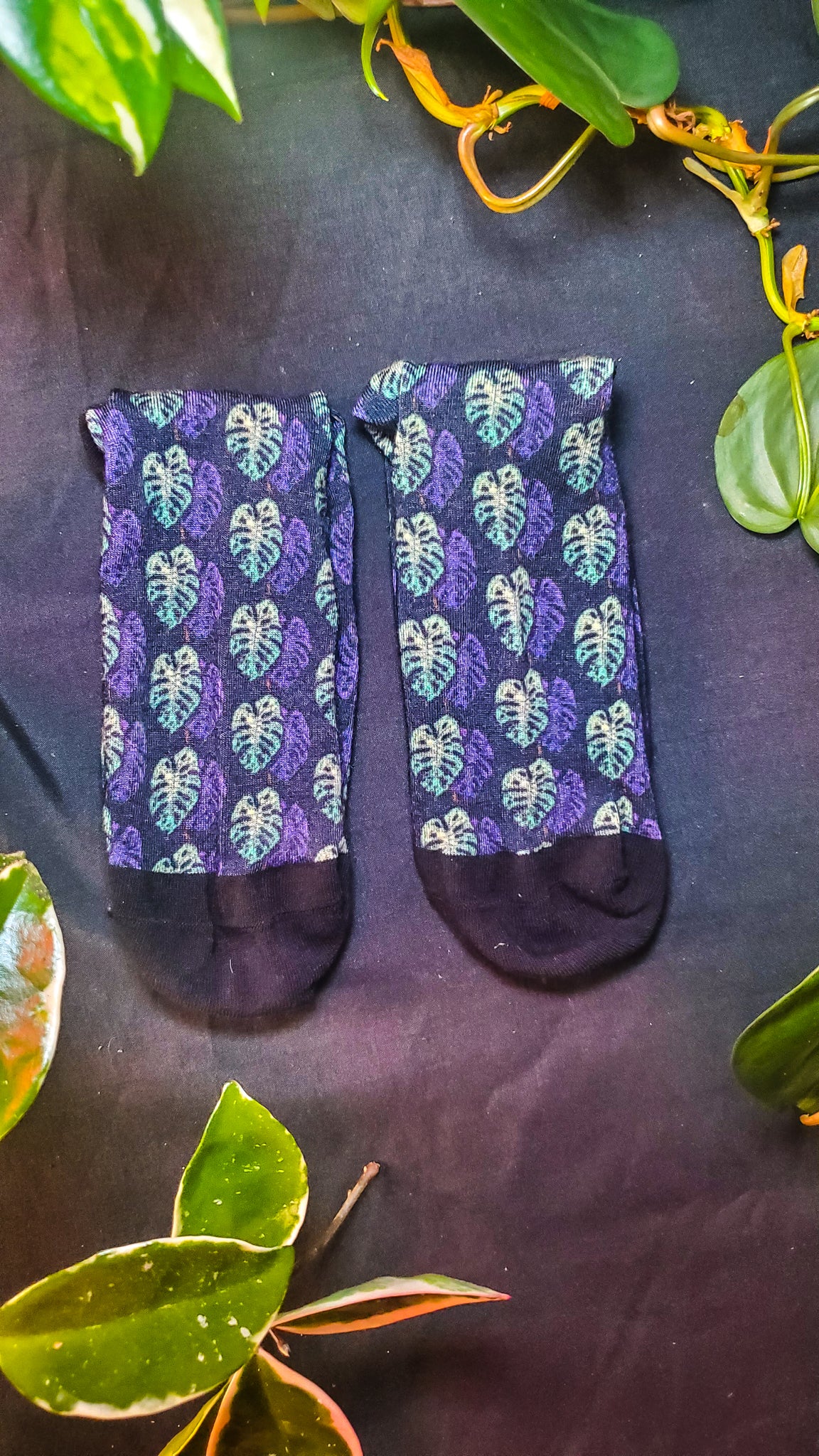 a pair of purple and black monstera  leaf-patterned socks arranged neatly on a dark surface. Green foliage with a mixture of solid and variegated leaves is scattered around the socks