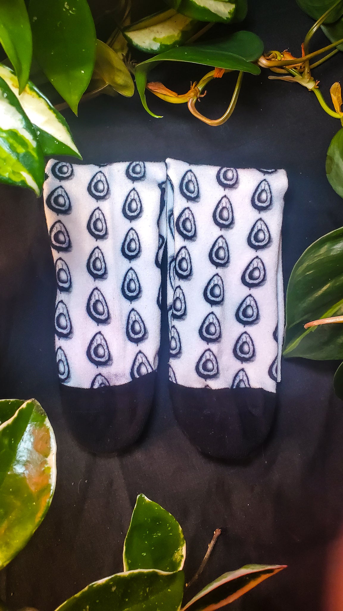 The composition focuses on a pair of white socks with a distinctive black avocado pattern, laid flat on a dark background. Surrounded by green foliage, the socks stand out with their bold, repetitive design.