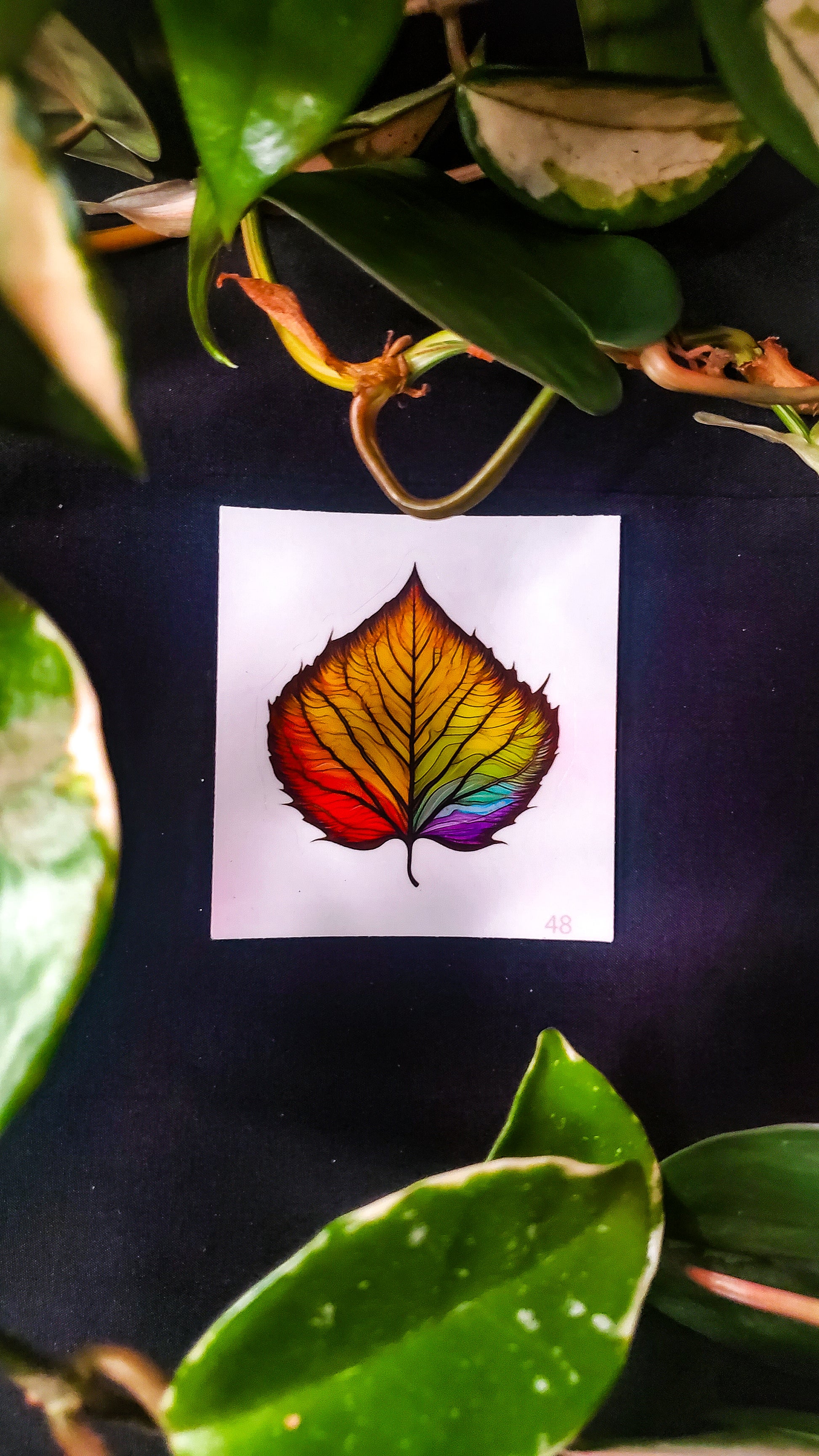 A sticker depicting a colorful birch leaf with a gradient from red to green on a dark background, amidst lush green leaves.