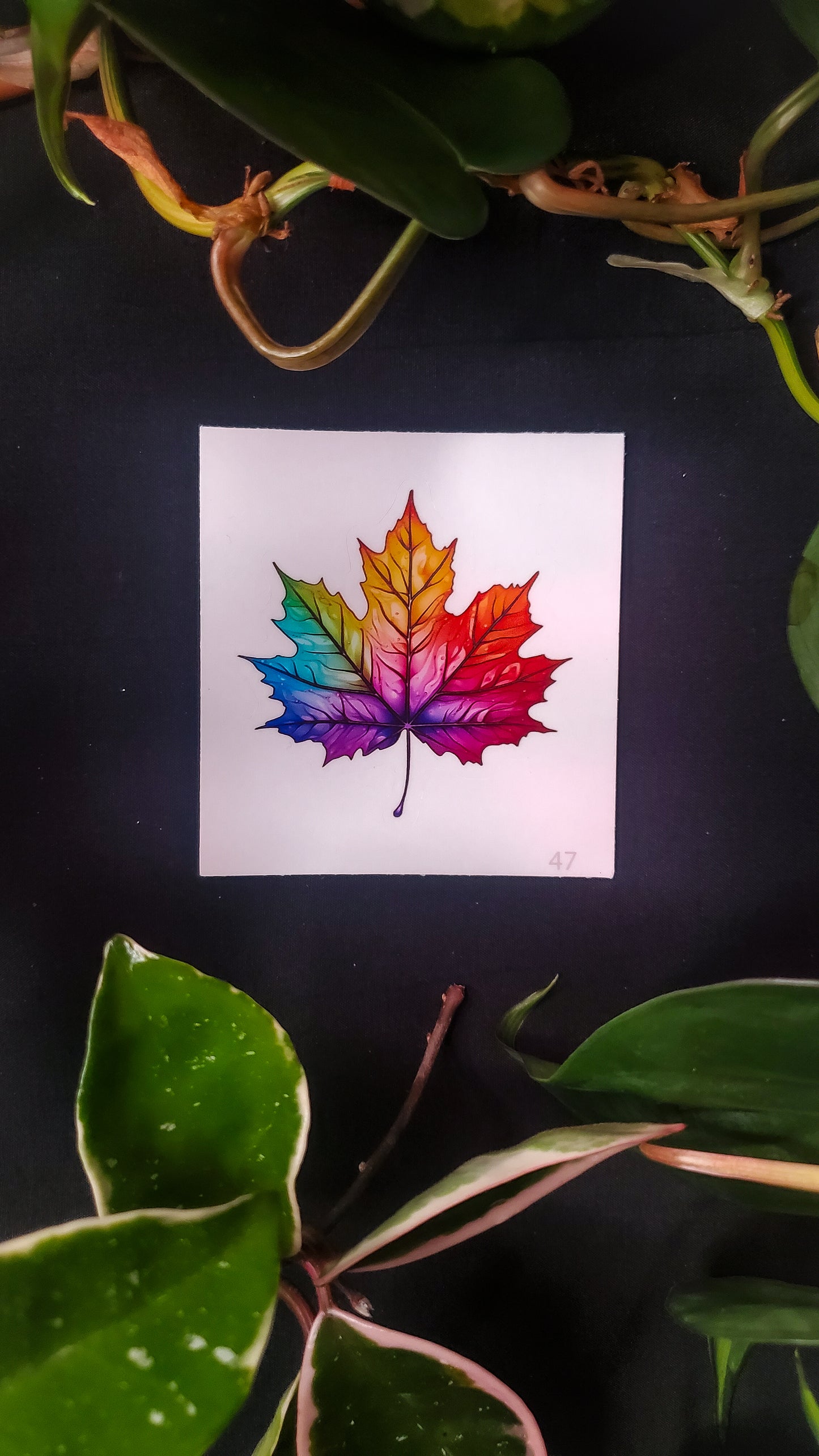 Vibrant Rainbow Maple Leaf Sticker Cut to Shape