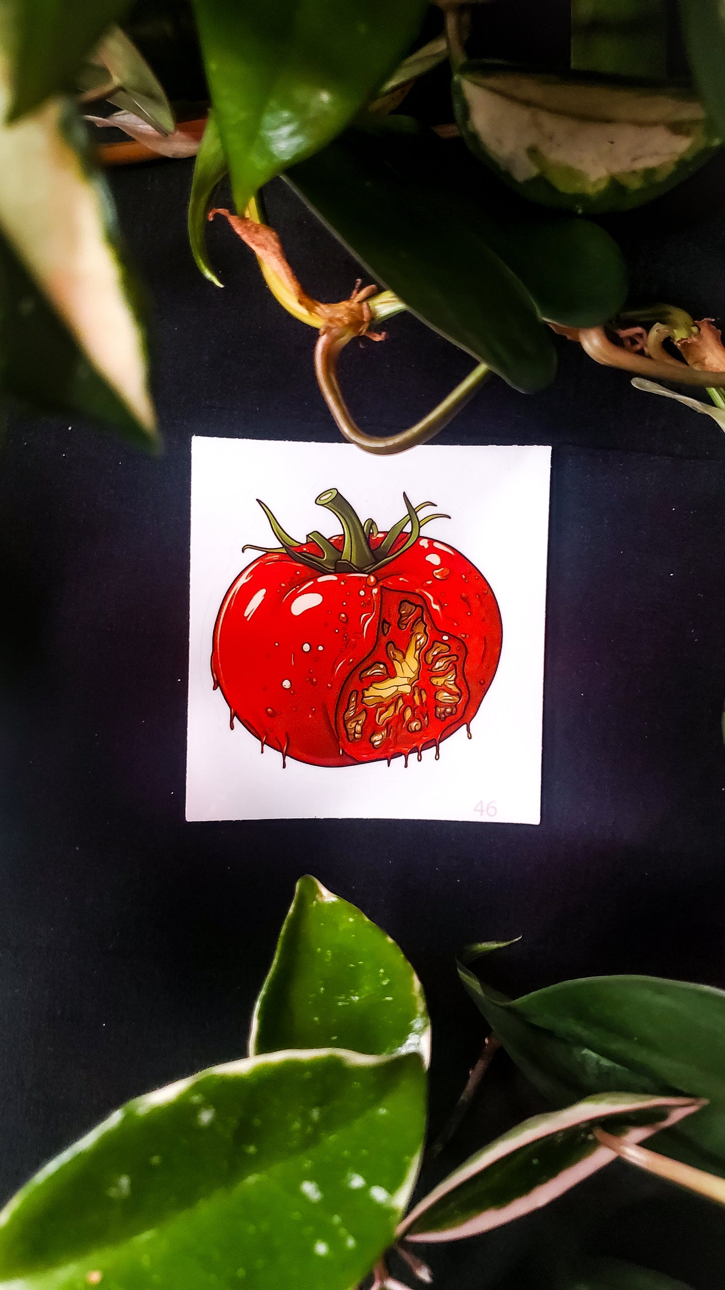 A vibrant sticker of a sliced tomato with a gooey interior on a dark background, surrounded by green leaves.