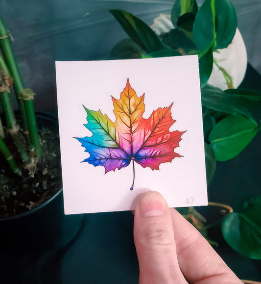 A hand holding a sticker of a rainbow-colored maple leaf against a backdrop of indoor plants