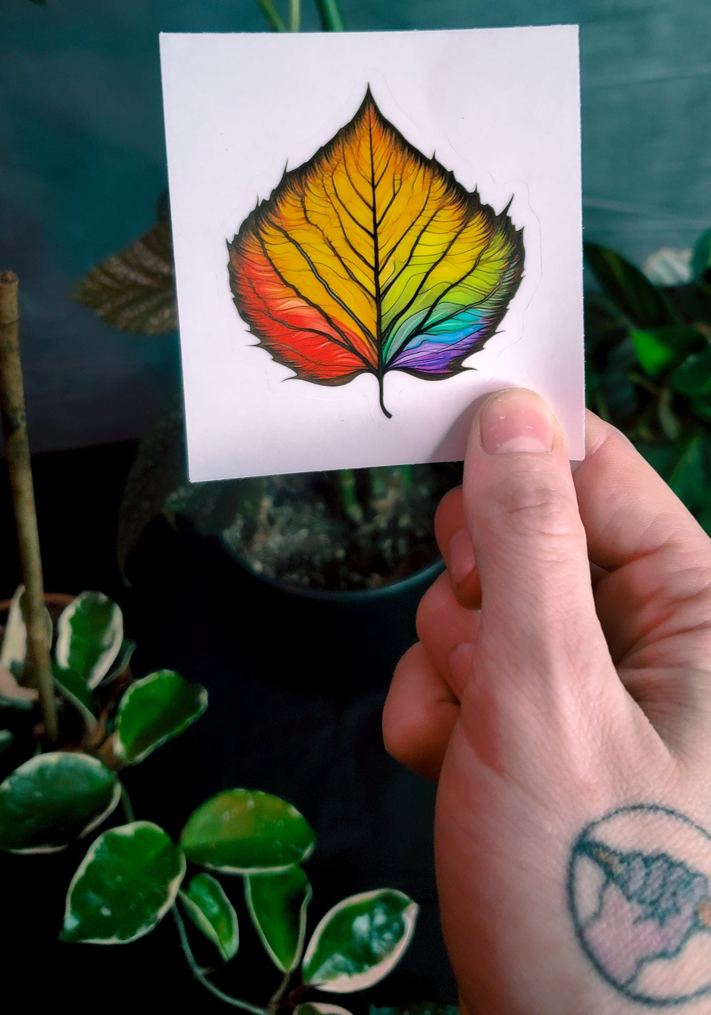 A hand holding a sticker of a rainbow-colored maple leaf against a backdrop of indoor plants