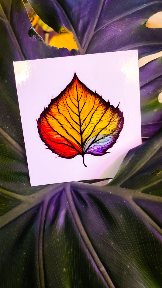 A sticker of a rainbow-colored birch leaf rests on the glossy leaves of a tropical houseplant.