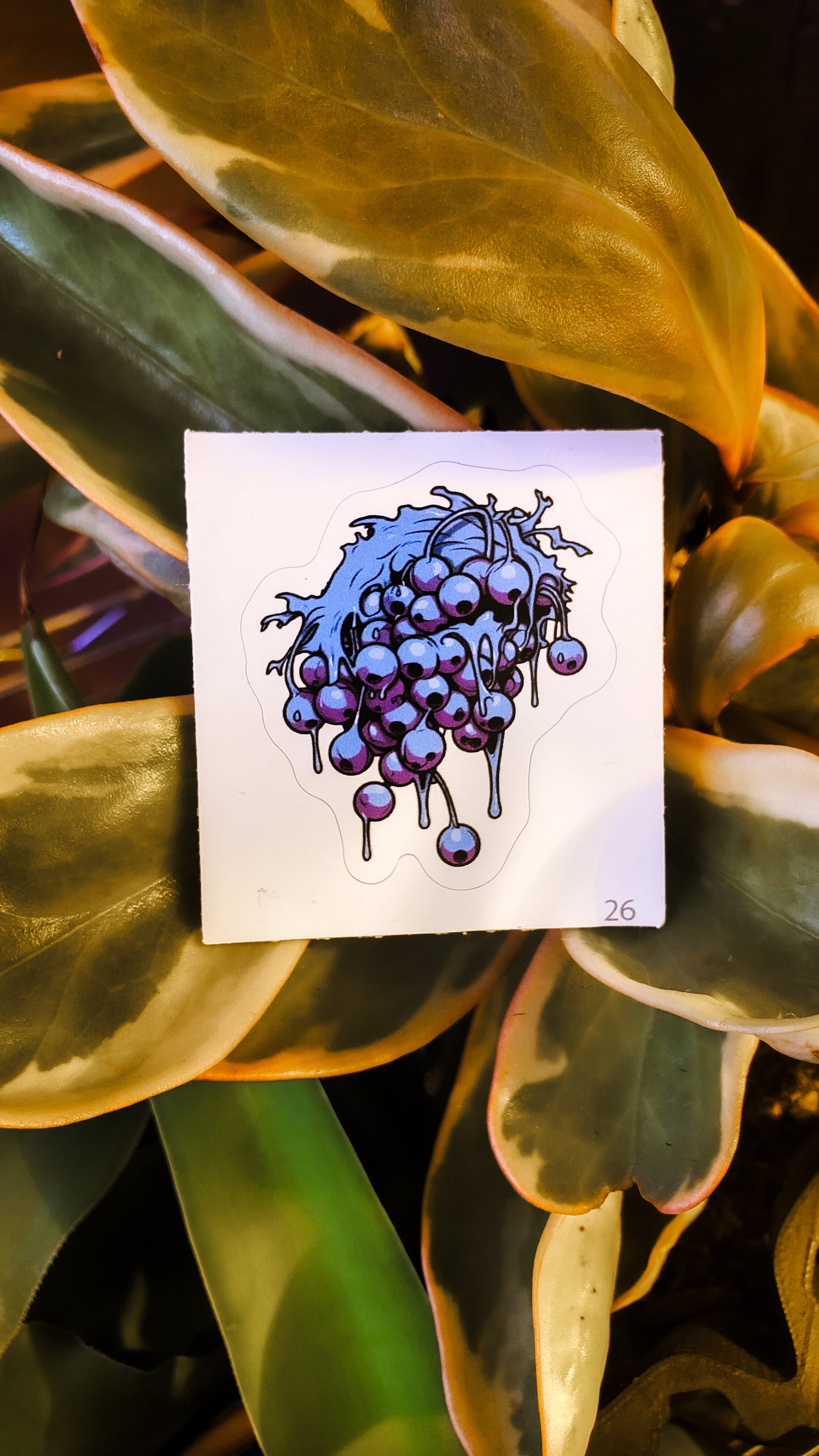 Spooky blueberry cluster sticker showcased among vibrant, broad-leafed houseplants