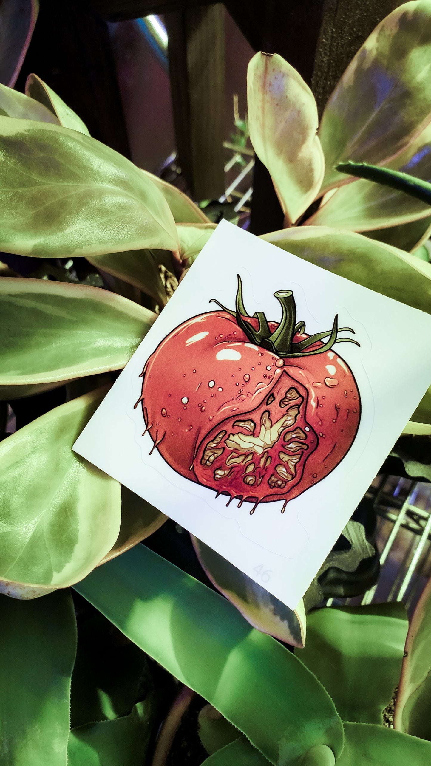 A tomato sticker with a horror theme displayed among green, broad-leafed houseplants.