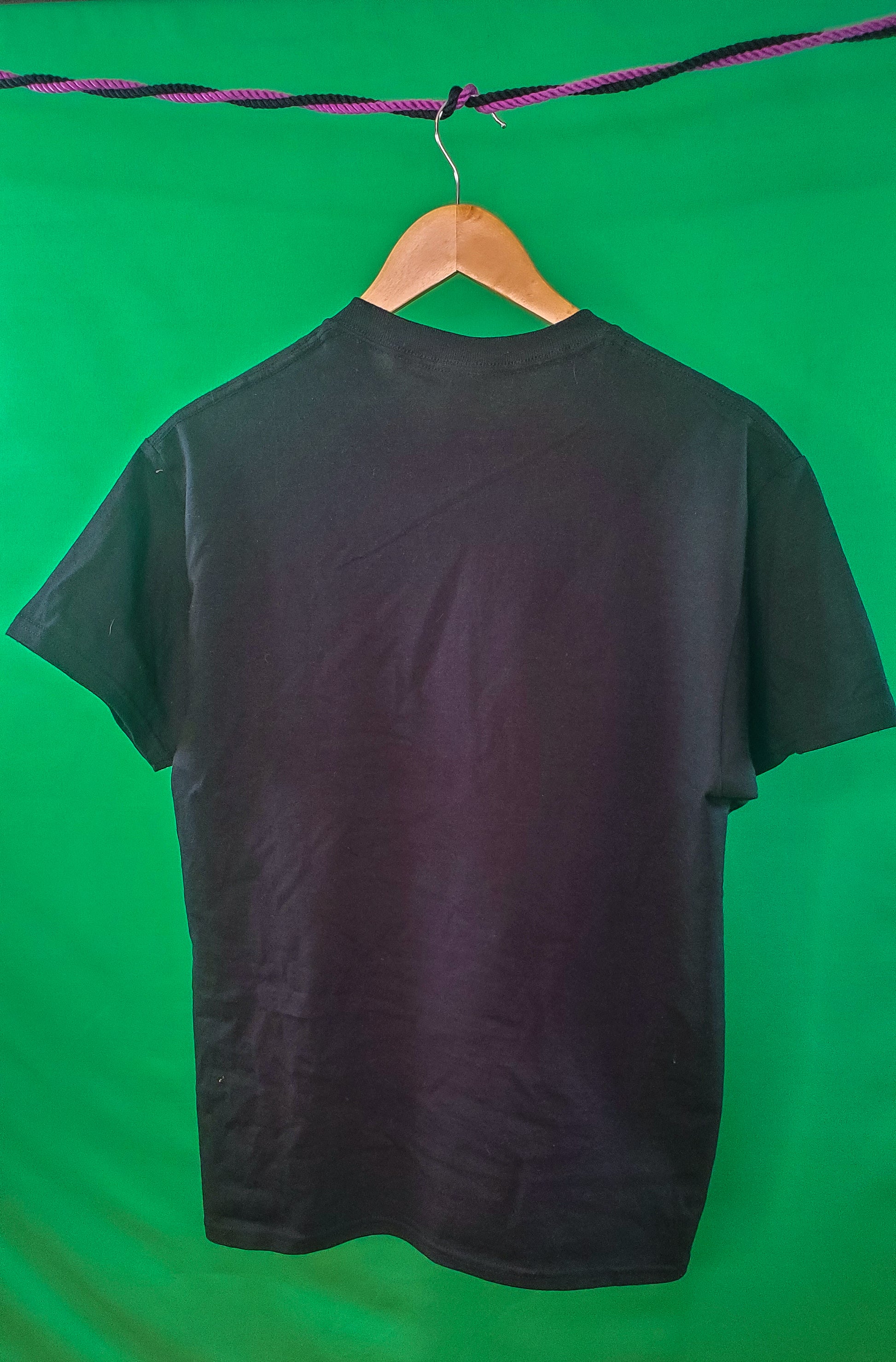 Plain black T-shirt displayed on a wooden hanger against a striking green background