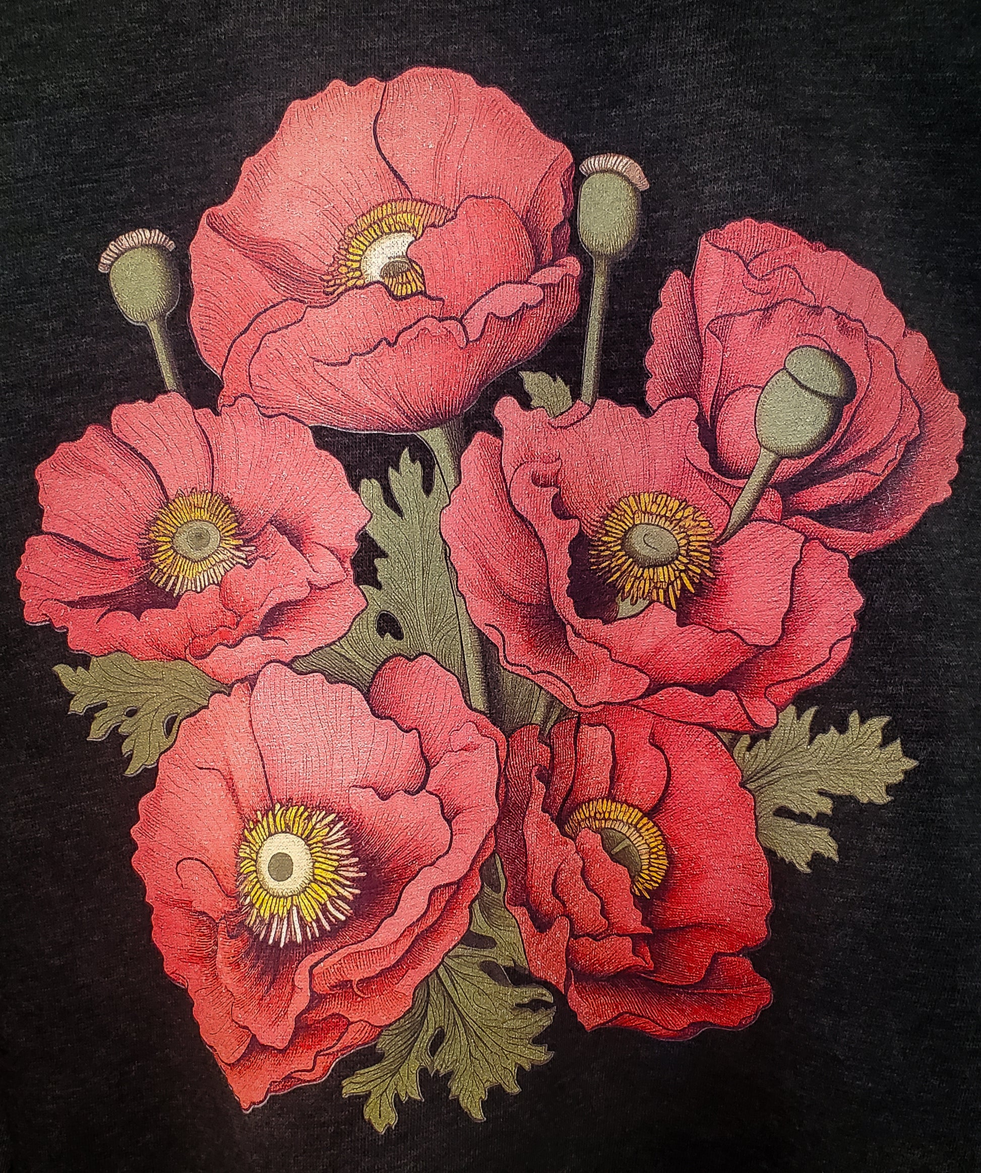 "Close-up of red poppies with striking eyeball centers on a charcoal heather sweatshirt, blending floral charm with macabre elements