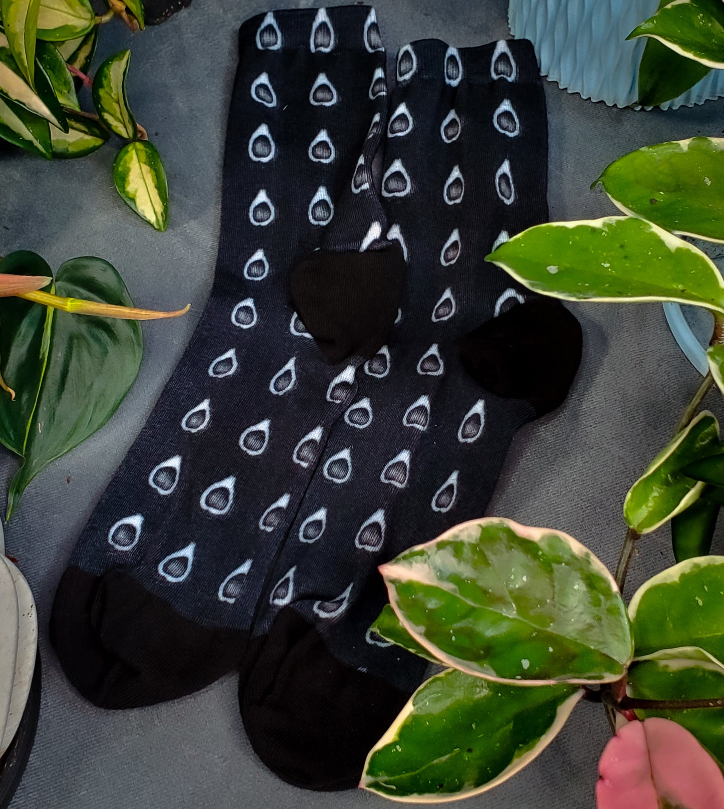 "Comfortable socks with a unique black avocado horror print, nestled among vibrant houseplants, offering a quirky twist to plant-themed apparel