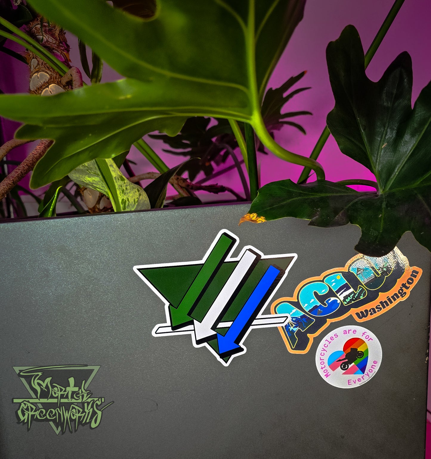 A close up shot of the 6x6" Cascadia climate front logo next to an ACLU of Washington sticker and a Motorcycles are for everyone sticker on a grey pot hosting a giant philodendron plant.