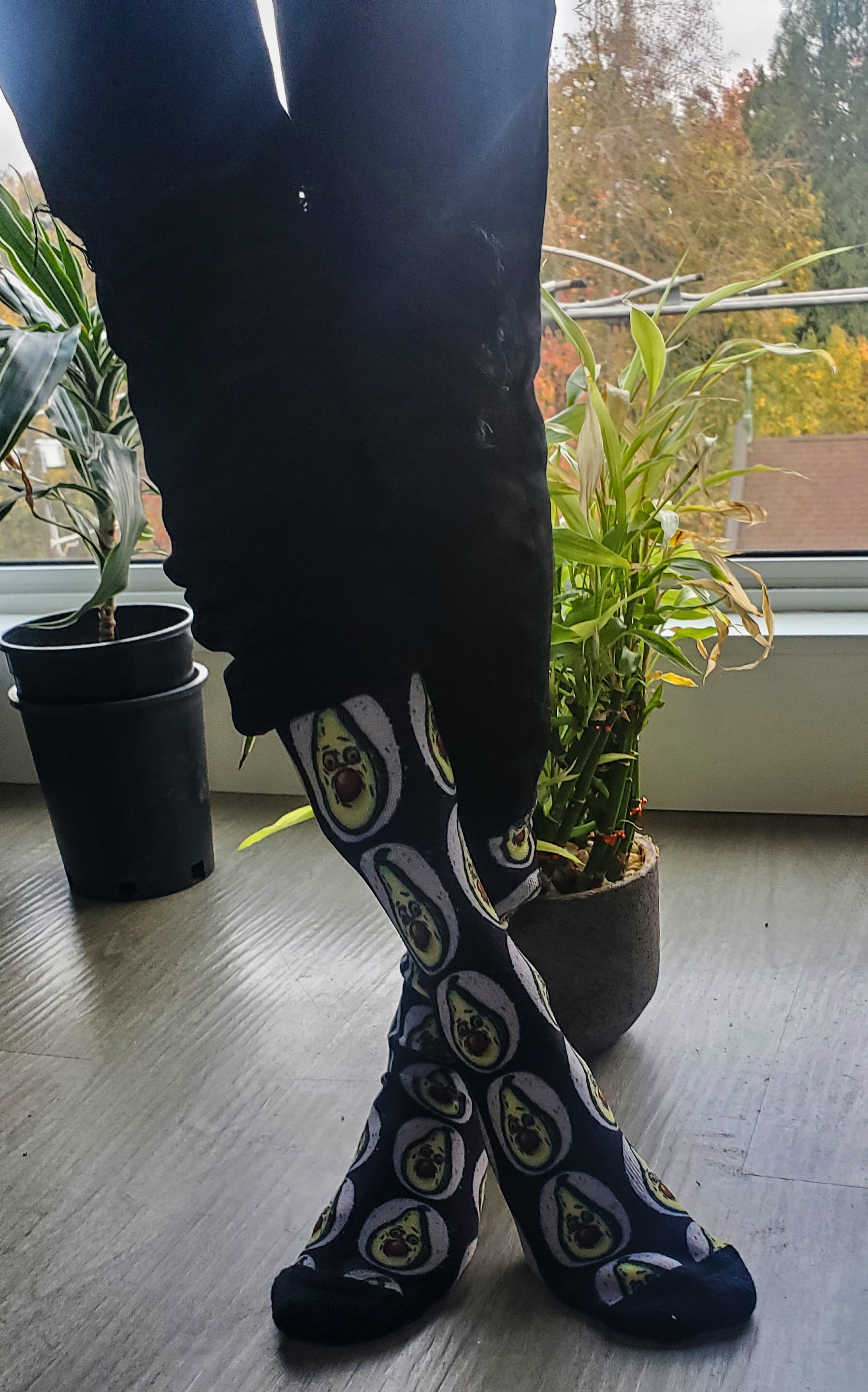 Funky avocado print socks showcased in a natural setting with houseplants, ideal for unique fashion and plant enthusiasts