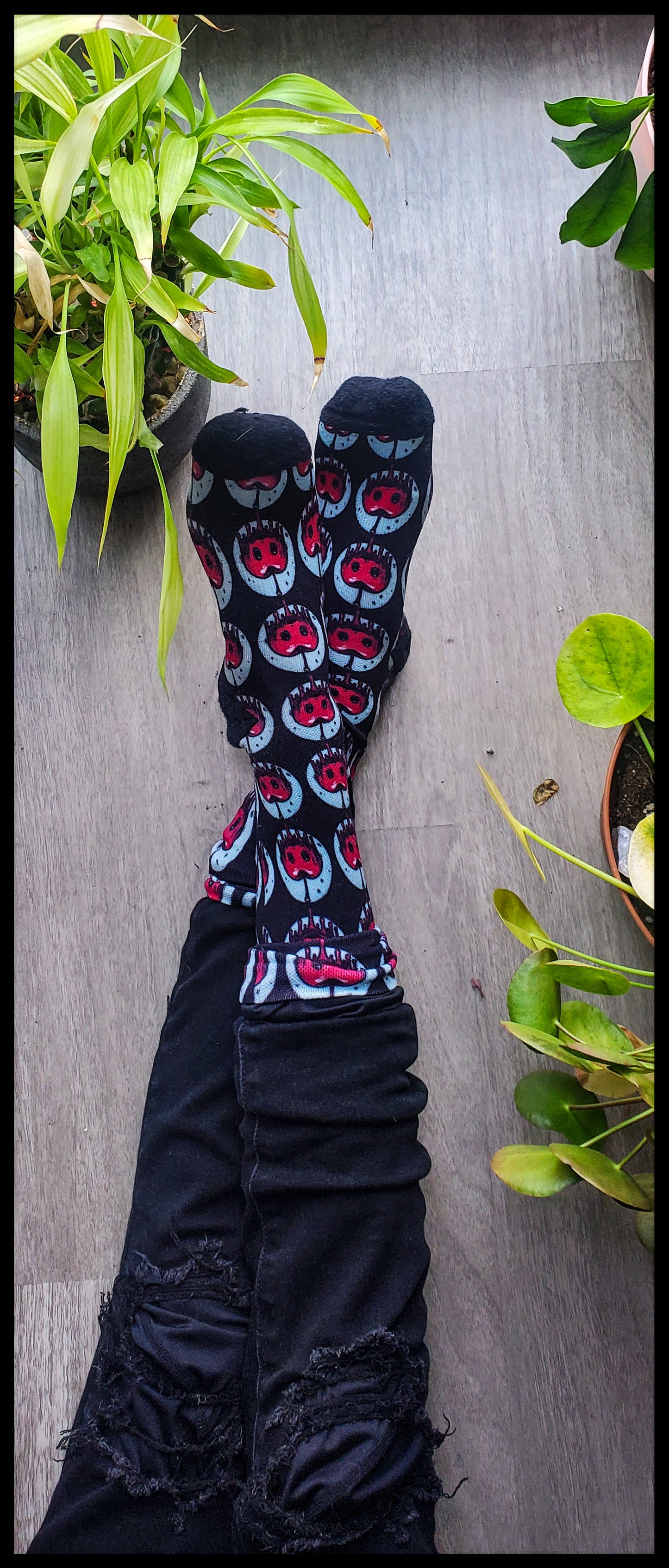 The sock showcases a pattern of cherries with blood-like drips, creating a stark contrast against the grey flooring and flanked by vibrant potted plants.