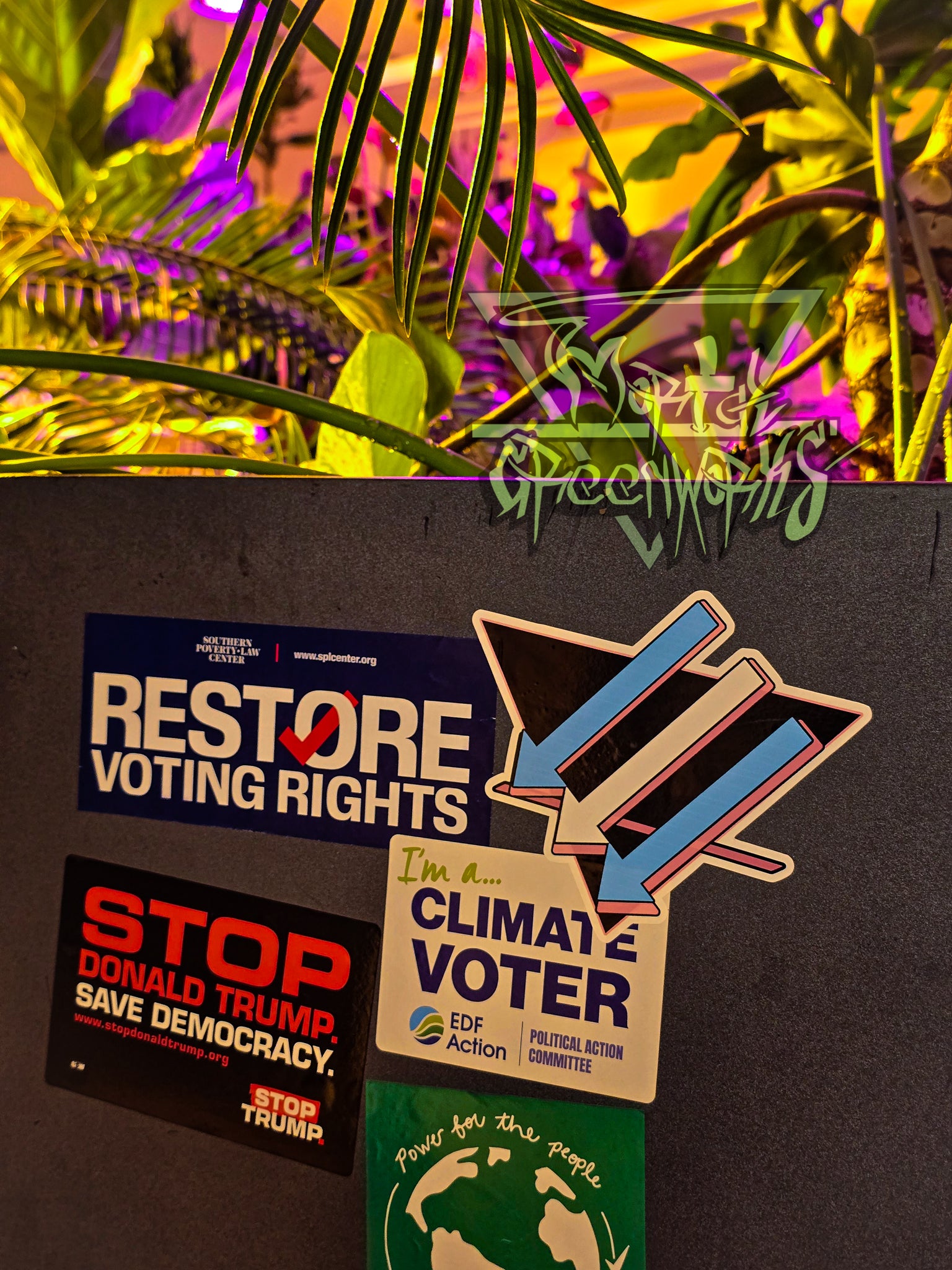 A Planter with several political stickers is shown along with the Climate Front Trans Pride Sticker on the side of a tropical planter. In the background there are several tropical plants and a palm front peaking into the picture. 